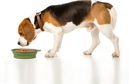 FurTIP Travel Bowl (2 Pack)