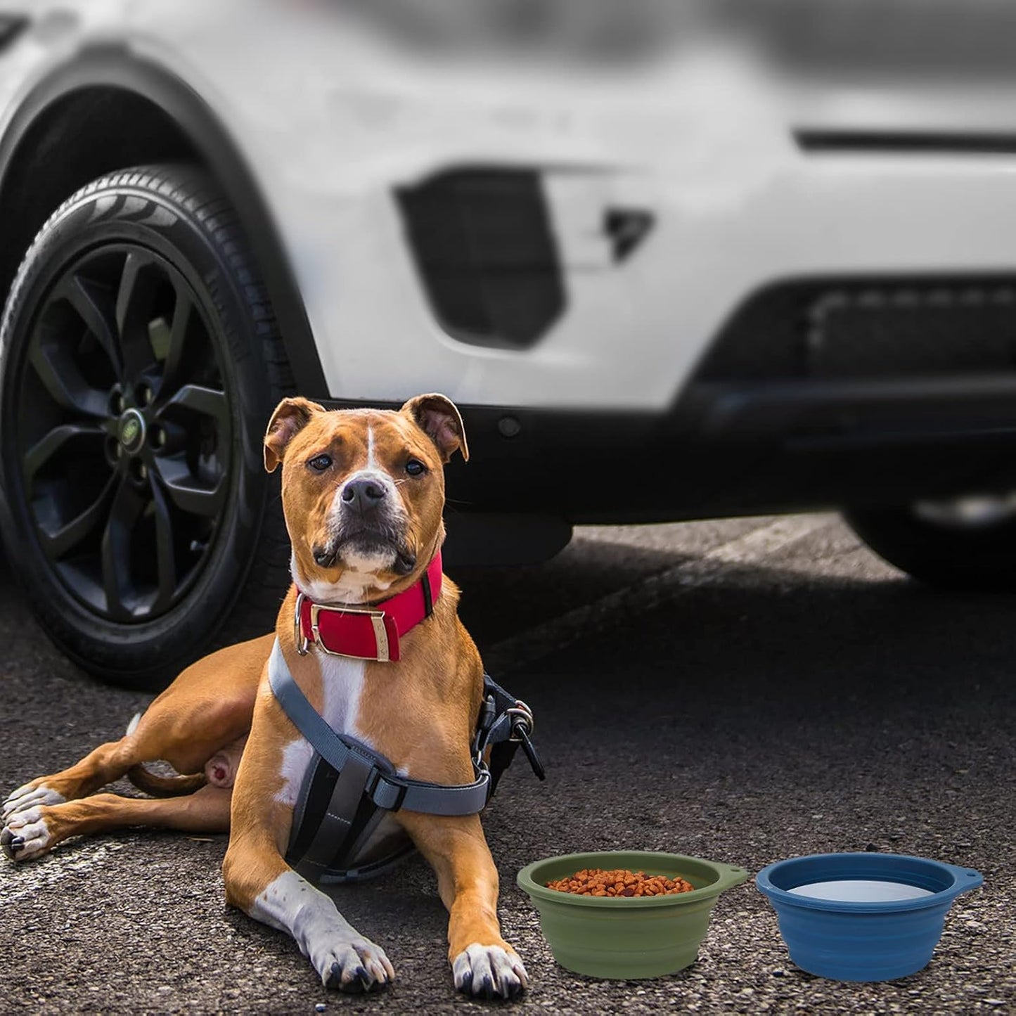 FurTIP Travel Bowl (2 Pack)