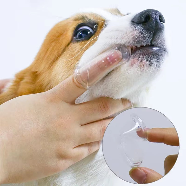 FurTIP Gentle Dental Care Brush