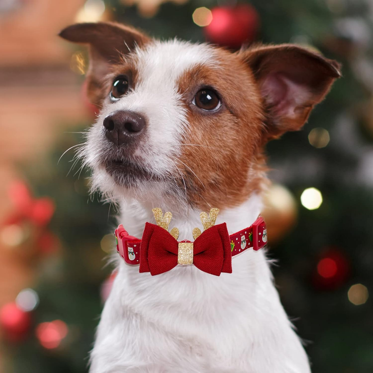 FurTip Christmas Dog Collar with Christmas Bow Tie